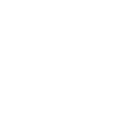 instagram-icon